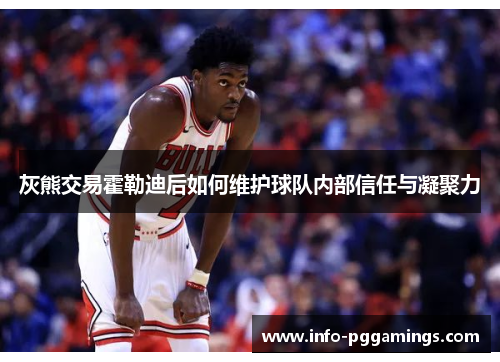 灰熊交易霍勒迪后如何维护球队内部信任与凝聚力